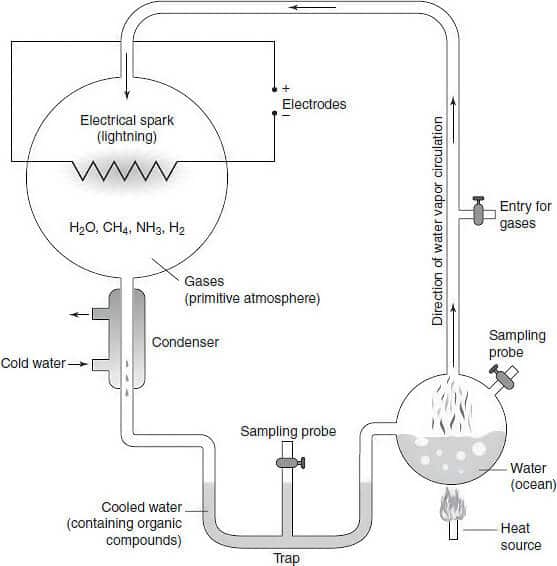 ACT prep Science Illustrative diagrams