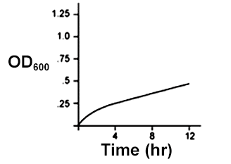 A graph that shows the relationship of OD over Time