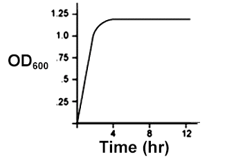 A graph that shows the relationship of OD over Time