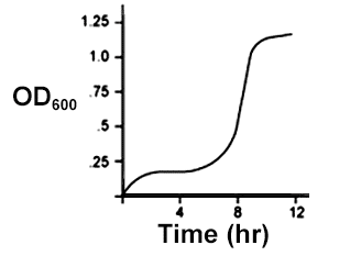 A graph that shows the relationship of OD over Time