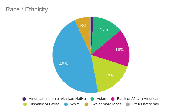 Race Ethnicity of Magoosh Students Pie Chart