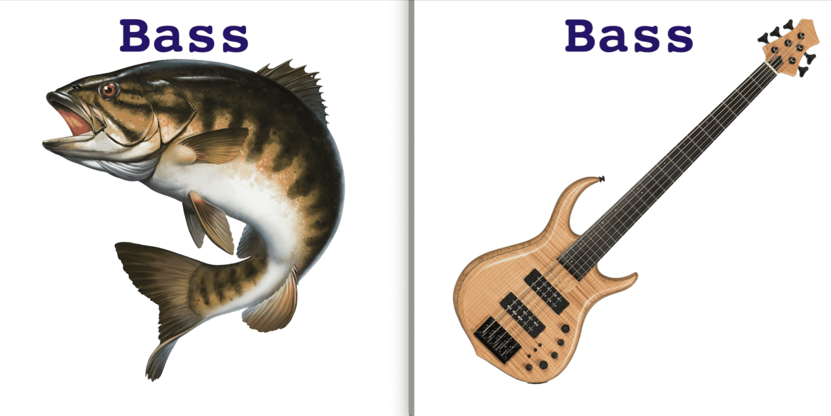 bass guitar fish