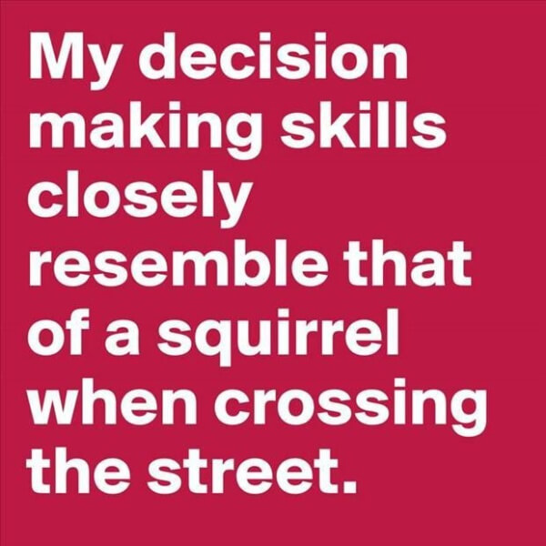 Decision-making-skills-squirrel
