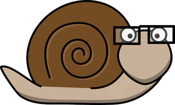 Snail with glasses.  (License: Public Domain CC0)