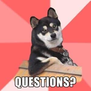 Meme of a dog with question