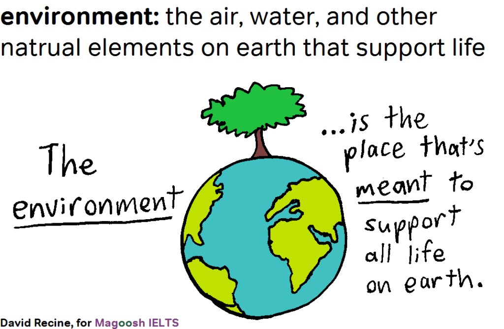IELTS science vocabulary - environment - magoosh