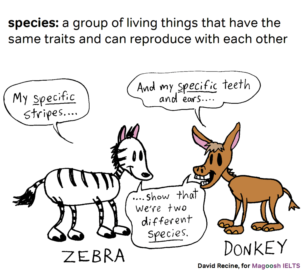 IELTS science vocabulary - species - magoosh