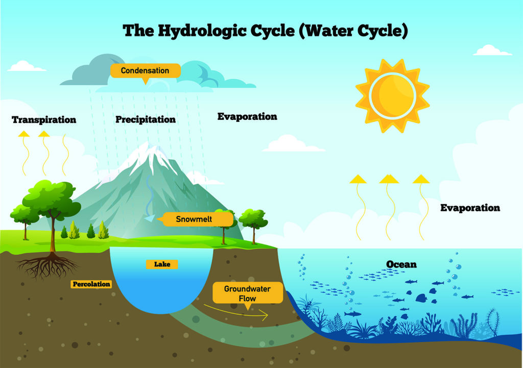 diagram showing the hydrological cycle process