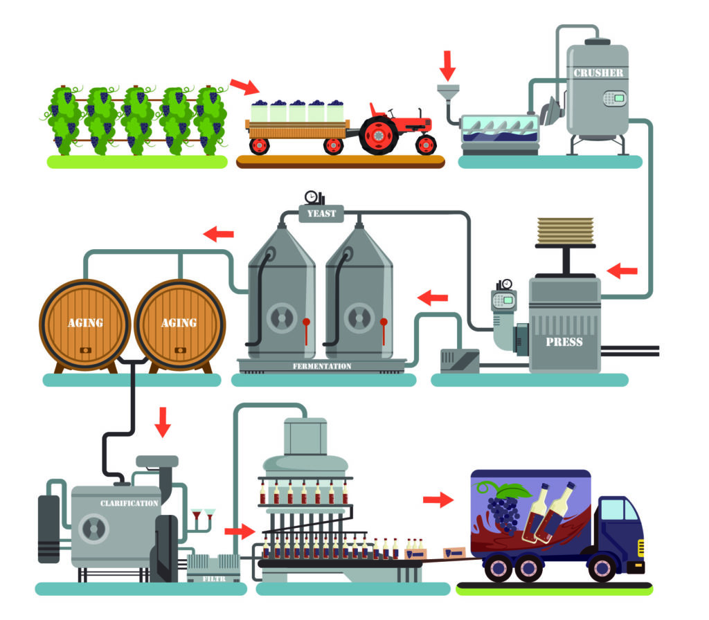 Wine production diagram