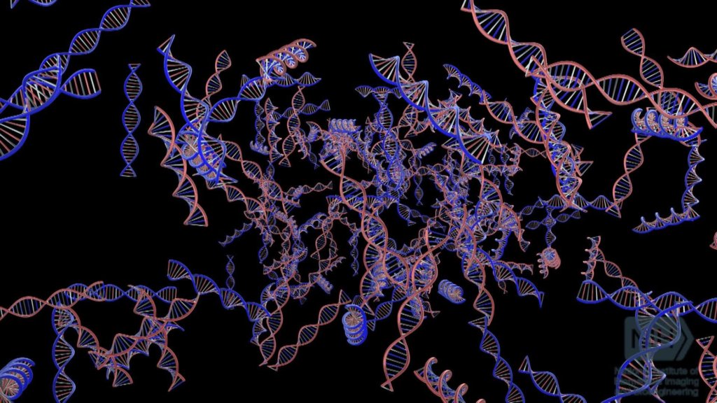 Mcat Genetics What To Know Magoosh Mcat Blog