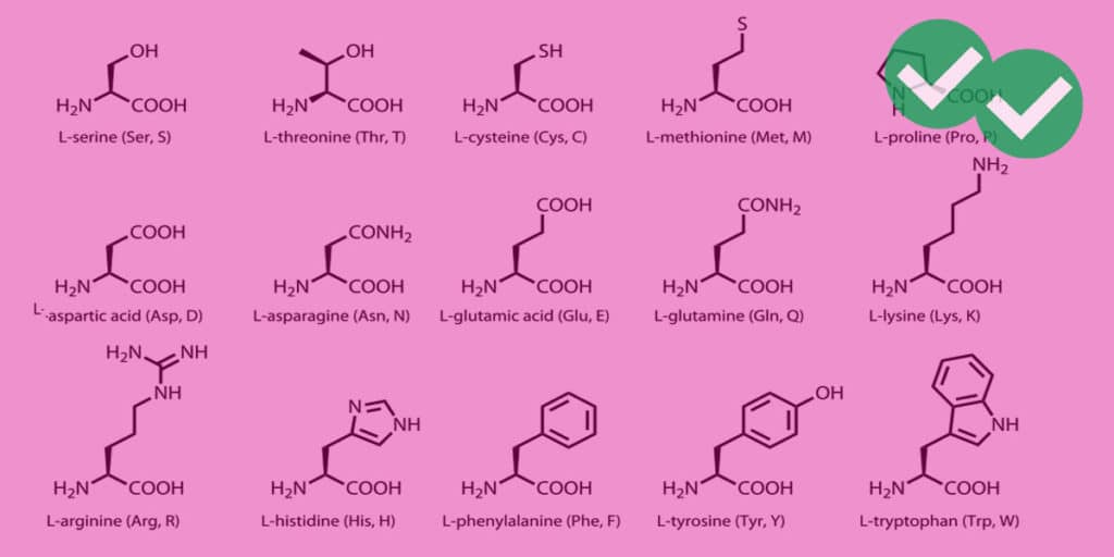 Mcat Amino Acids What To Know Magoosh Mcat Blog