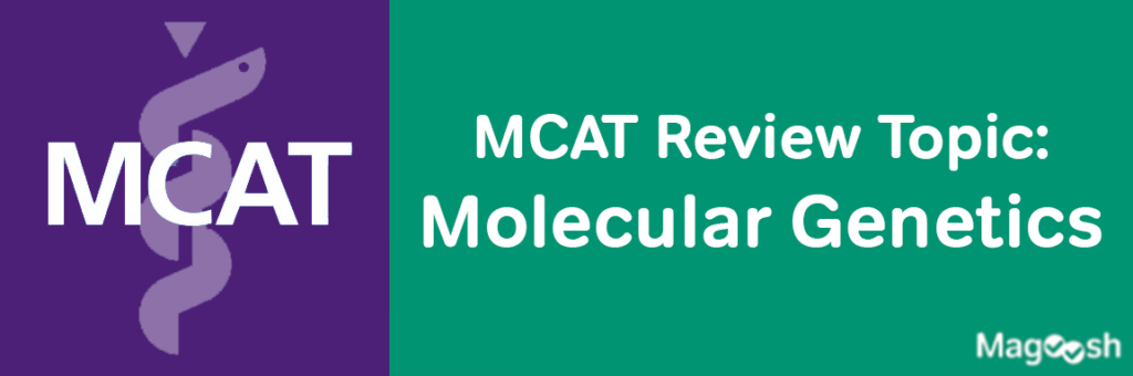 MCAT Molecular Genetics -magoosh