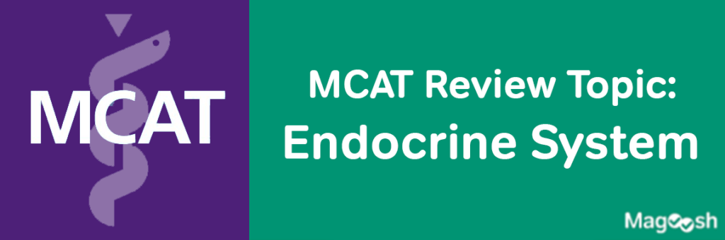 MCAT Endocrine System -magoosh