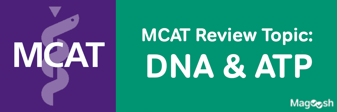 MCAT Review Topic: DNA and ATP