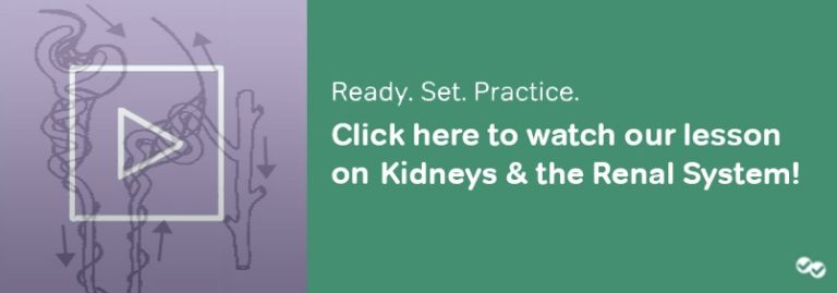 MCAT Review Topic: Kidneys and Renal System - Magoosh MCAT Blog