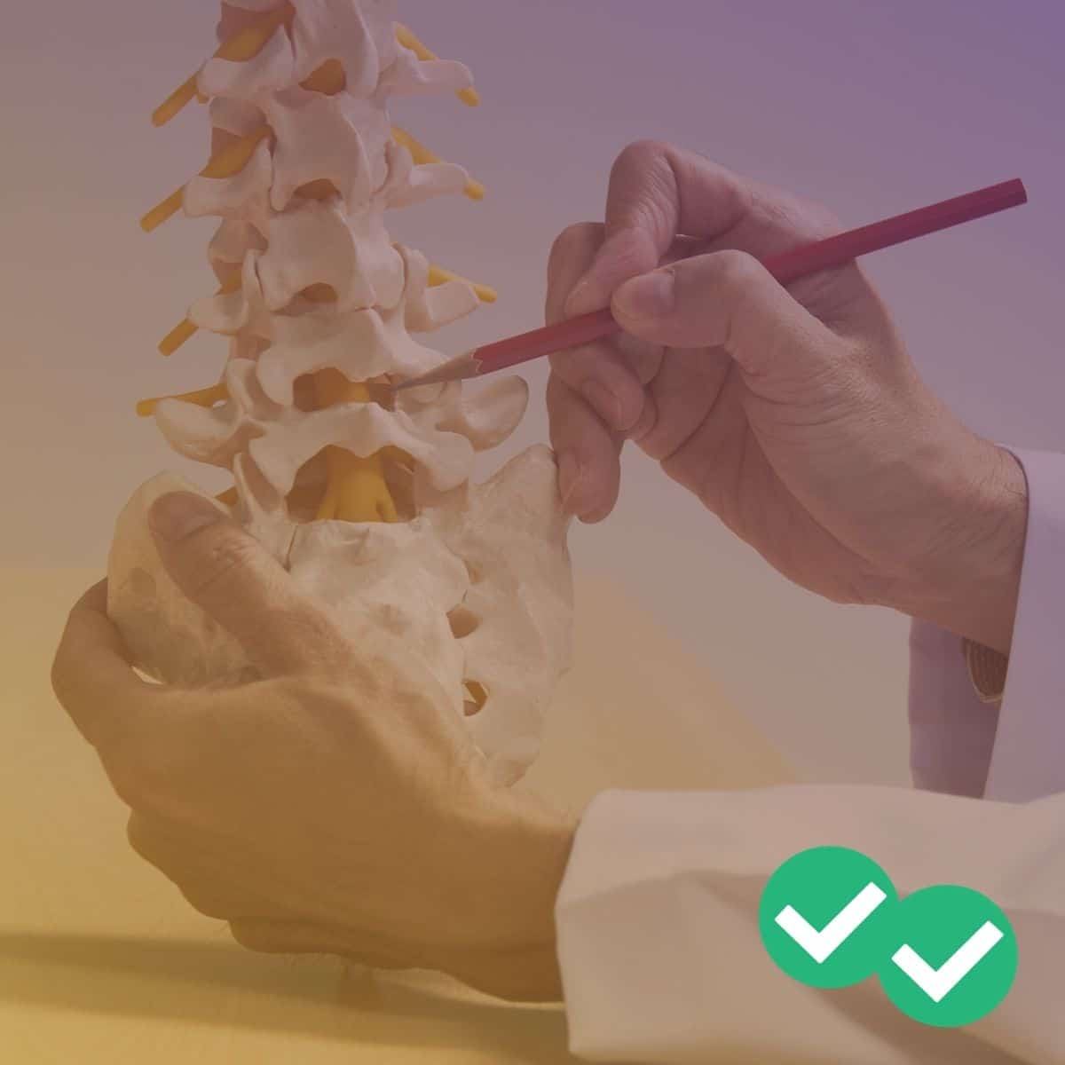 MCAT Bone, Cartilage, Joints – Musculoskeletal System