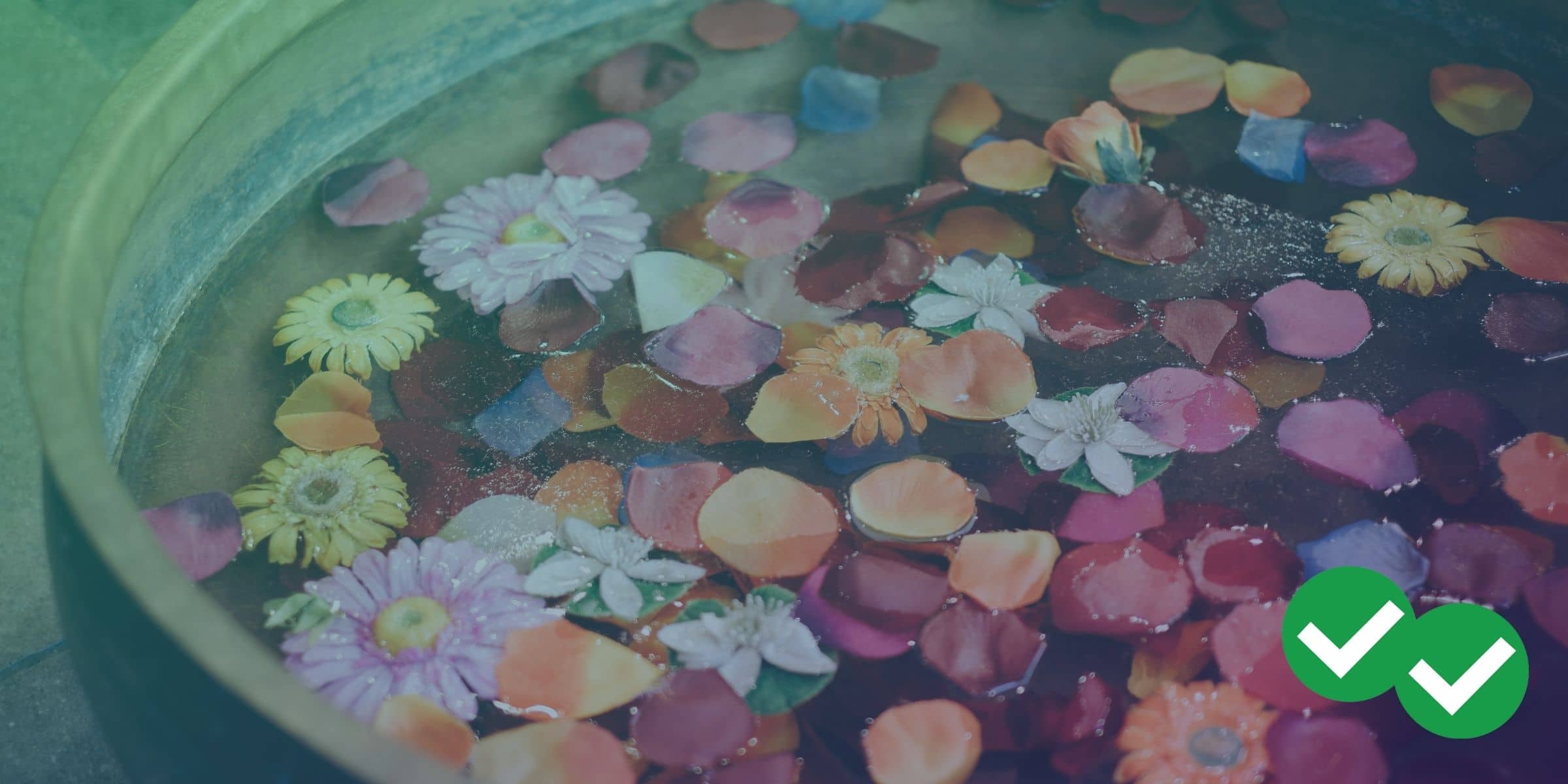 Flowers floating in water to represent fluid dynamics