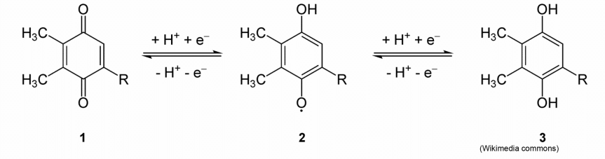 A Magoosh image depicting MCAT oxidation