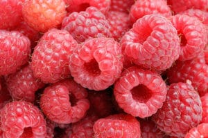 raspberries as a brain food for studying