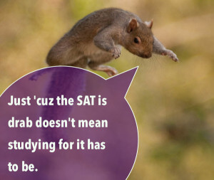 SAT_Squirrel