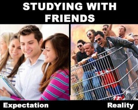 Title: Studying with Friends, Left Side Caption: Expectation, image shows 2 women and a man looking at a notebook and smiling, Right Side Caption: Reality, image shows a group of people riding in a shopping cart with hands in the air.