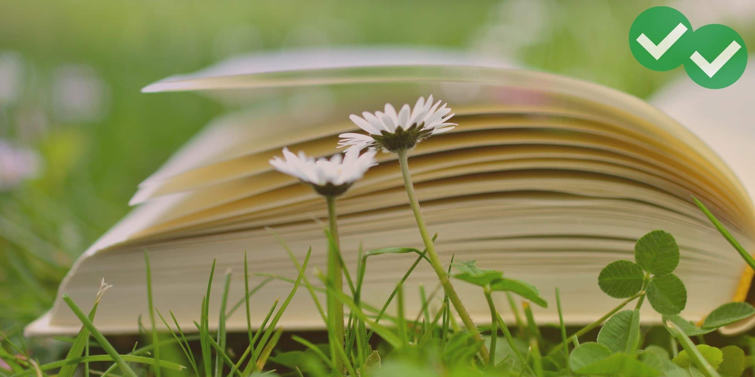 Open book lying in grass and flowers representing TOEFL independent writing topics - image by Magoosh